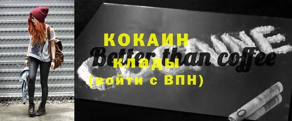 сатива Богданович