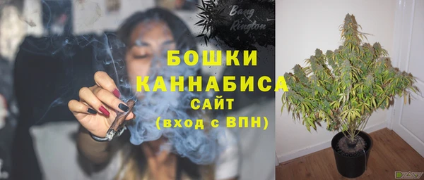 2c-b Пересвет