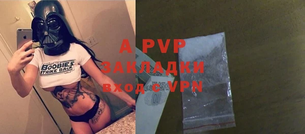 сатива Богданович