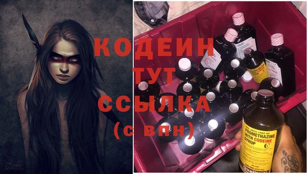 apvp Богородицк