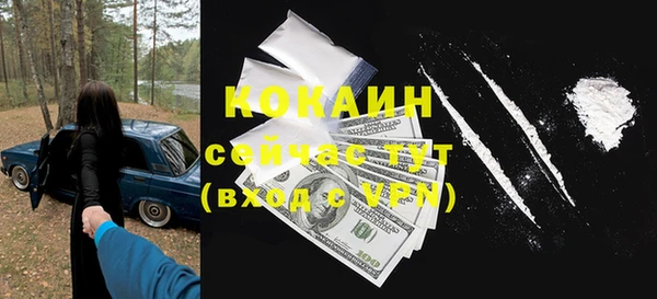 apvp Богородицк
