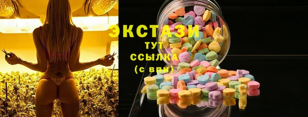 apvp Богородицк