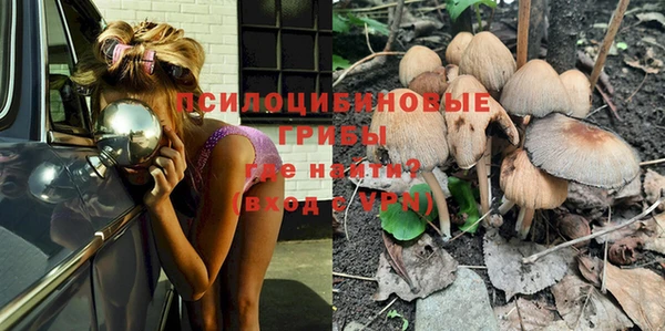 сатива Богданович