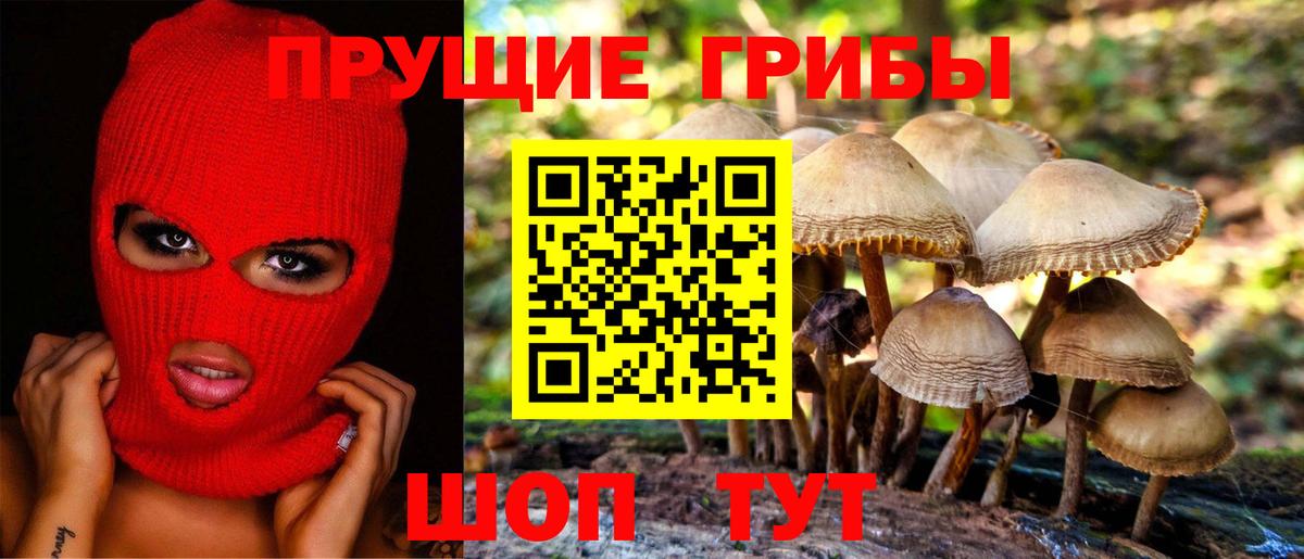 Якутск  Псилоцибиновые грибы мухоморы  Вход с VPN 