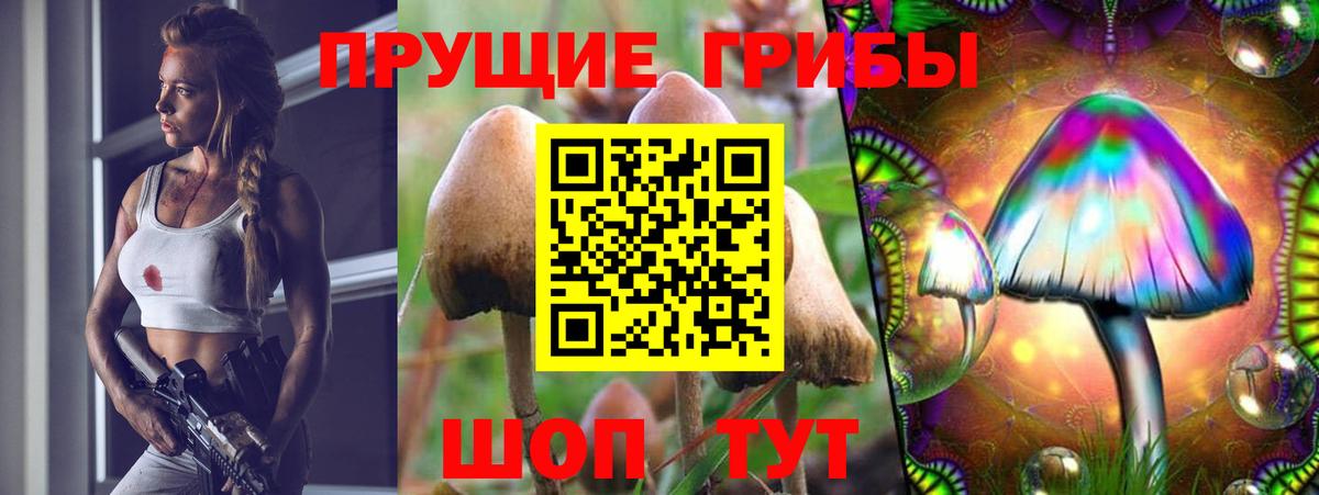 Псилоцибиновые грибы GOLDEN TEACHER Якутск
